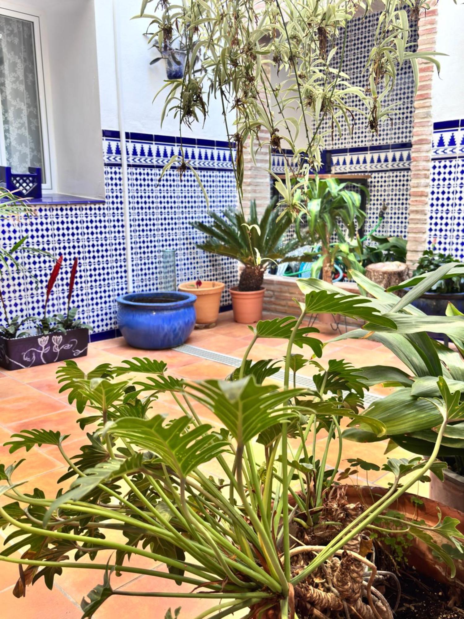 Shanti'S Andalusian Rooms マラガ エクステリア 写真