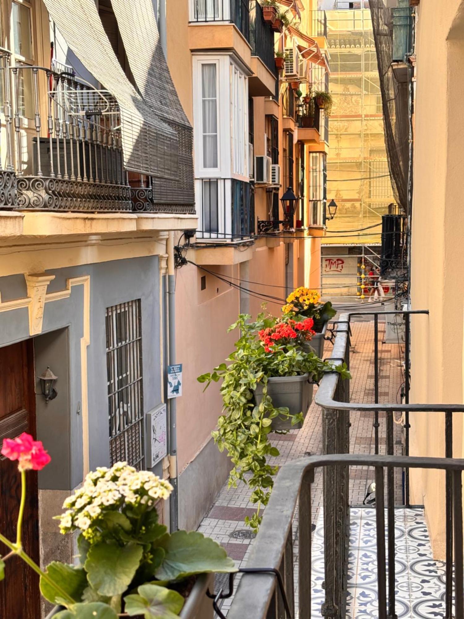 Shanti'S Andalusian Rooms マラガ エクステリア 写真